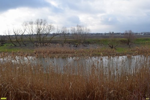 Протока и сельхозугодья на месте бывшего лимана Куркуй возле станицы Варениковской