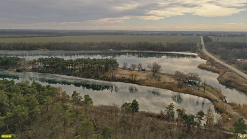 Насаждение сосны крымской - памятник природы по берегам оставшихся от карьеров водоёмов