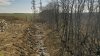 Закрытая свалка в г.Гулькевичи "распространяется" на окружающие поля и лесополосу