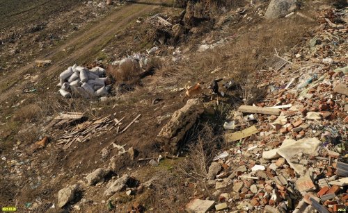 "Охрана" закрытой гулькевичской районной свалки