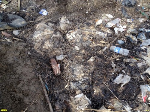 Биологические отходы на гулькевичской свалке ТКО