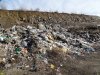На официально закрытую гулькевичскую свалку ТКО продолжают завозить мусор