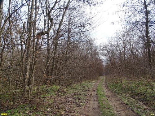 Урочище Казанская Гора (Кропоткин, Кавказский район)