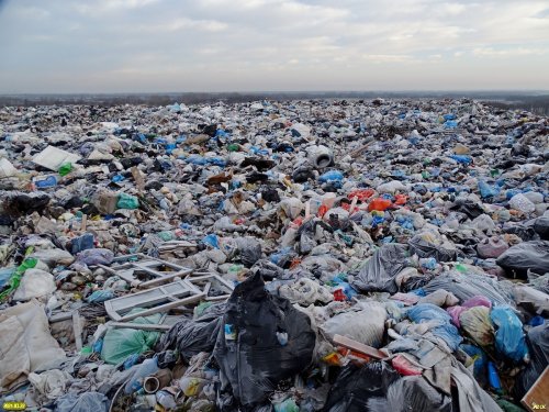 Безбрежное море мусора на Абинской районной свалке