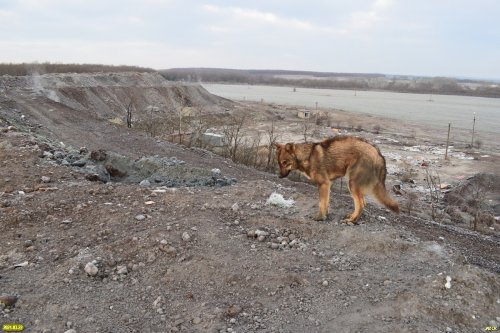 Замерзающий "сторож" Абинской свалки ТБО