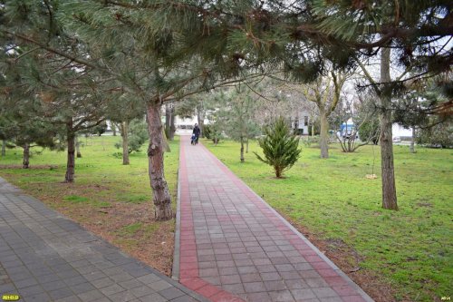 Природная рекреационная зона "Сквер им.Гудовича" в Анапе