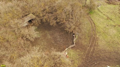 На одном из участков лесного фонда (Новороссийское лесничество) организовано частное пастбище