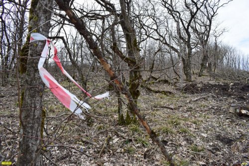 Дорогу к известняковому карьеру пробивают через лес