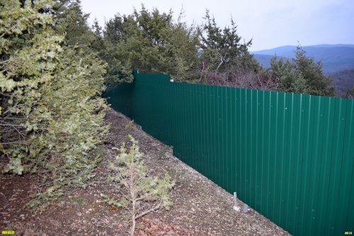 Забор среди зарослей краснокнижного можжевельника красного в посёлке "Лесной" (Сукко)