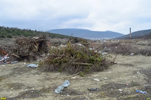 В этих кучах древесных отходов есть даже выкорчеванные можжевельники (Сукко, Анапа)