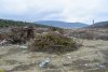 В этих кучах древесных отходов есть даже выкорчеванные можжевельники (Сукко, Анапа)