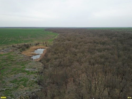 Лес Шундук (Теучежский район Адыгеи) соседствует с закрытой свалкой ТБО и сельхозугодьями