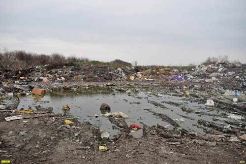 Ядовитая лужа посреди незаконной свалки отходов (ст.Калининская)