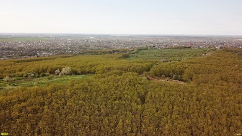 Урочище Холмский лес в Абинском районе ЭВСК предлагает сделать зелёной зоной общего пользования