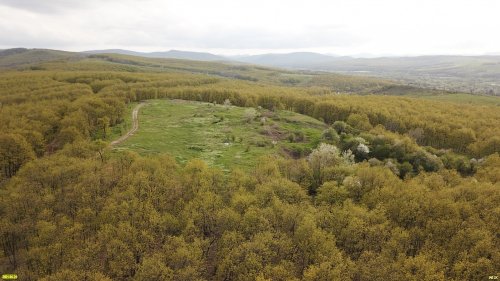 Урочище Холмский лес включает в себя лесные ландшафты и территорию бывшей свалки