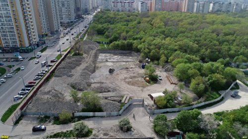 В Пионерской роще (Новороссийск) вырубают деревья и готовят участок под строительство