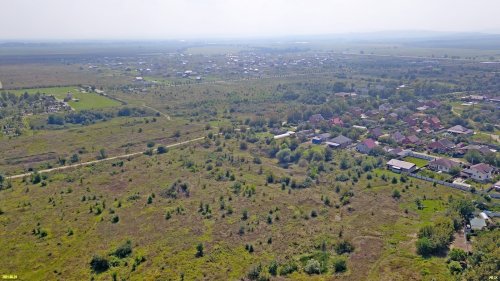 Поле с редкими кустами и низкорослыми деревьями занимает большую часть т.н. "зелёной зоны" (Абинск)