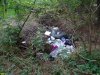 Статус особо охраняемой природной территории не гарантирует отсутствия мусорок