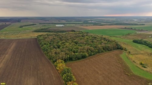 Памятник природы "Урочище Зелёная роща" в 5 км от ст.Новоплатнировской (Ленинградский район)