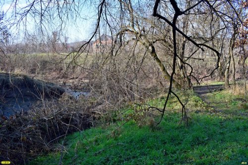 Пойма реки Убин в месте впадения в неё ручья (ст.Азовская, Северский район)