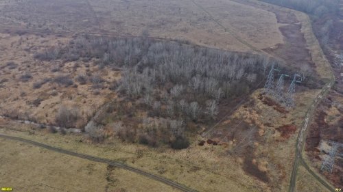 Восточно-Северский лес в Северском районе - небольшая, но ценная зелёная зона