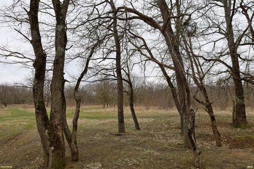 Зелёная зона (8) в Горячем Ключе на поляне Шапошникова 