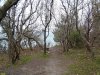 Пенайский лес на мысе Пенай, между с.Кабардинка и г.Новороссийск