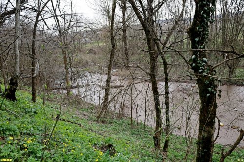 Приток реки Баканка в зелёной зоне в х.Горный (1)