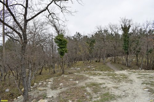 Зелёная зона в Геленджике (5) 