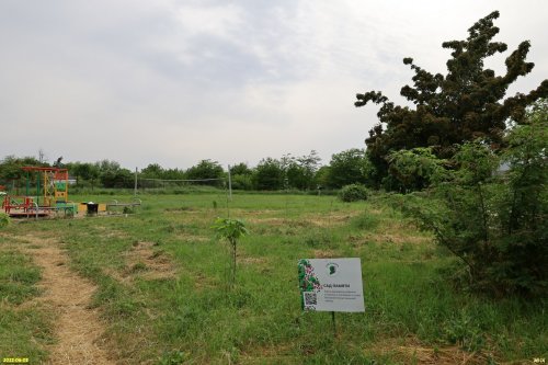 Сад Памяти на части предлагаемой зелёной зоны в х.Свободный (2)