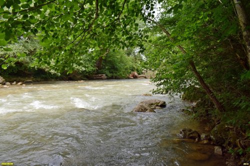 Река Курджипс в районе Закурджипского леса (х.Гуамка)