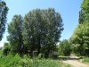 Зелёная зона в с.Юровка (дополнительная, расширение территории Парка культуры и отдыха)