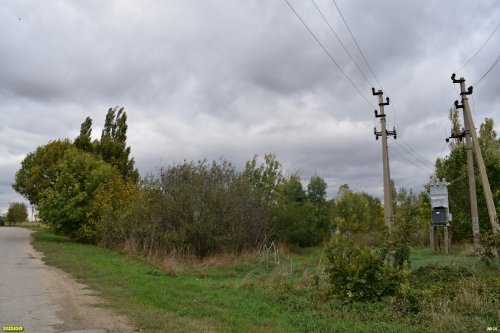 Зелёная зона в п.Забойский (7)