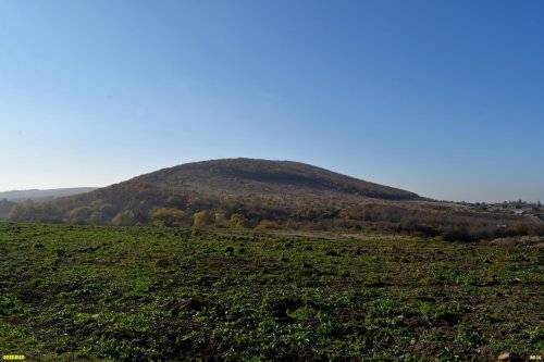 Гай-Кодзорский лес: гора Высокая