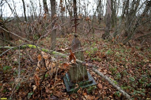 Зелёная зона в п.Новопетровский (3) расположена вокруг дореволюционного кладбища