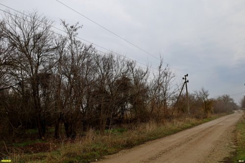 Зелёная зона в п.Новопетровский (2)