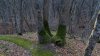 Тройной дуб в зелёной зоне в х.Кипячий (3)