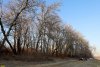 Перспективная ООПТ Лес в излучине Кубани используется жителями м/р Гидростроителей для рекреации