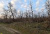 Перспективная зелёная зона в г.Белореченск (3)