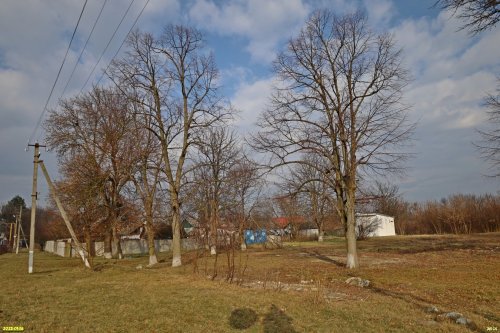 Перспективная зелёная зона в посёлке Степной (дополнительная)