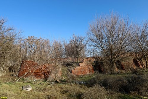 Остатки старой крепости в перспективной зелёной зоне в станице Батуринской (7)