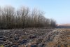 Перспективная ООПТ Северо-Пластуновский лес