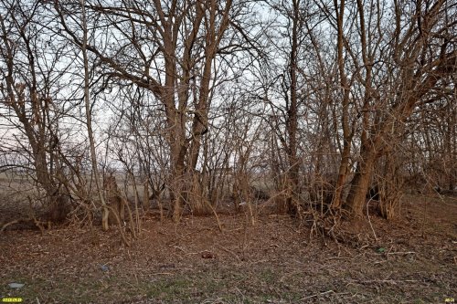 Перспективная зелёная зона в селе Красносельское (13)