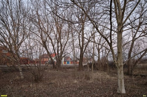 Перспективная зелёная зона в селе Красносельское (дополнительная)