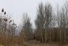Перспективная ООПТ Левобейсужёкский лес