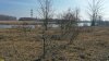 Перспективная ООПТ Казачье-Кирпильский лес