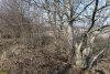 Перспективная ООПТ Южно-Платнировский лес