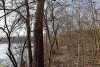 Перспективная ООПТ Северо-Платнировский лес