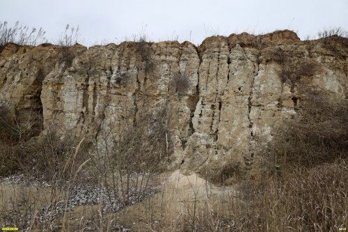 Стена глиняного карьера в перспективной ООПТ Грязевой вулкан Павловский