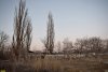 Перспективная зелёная зона в г.Приморско-Ахтарске (14)